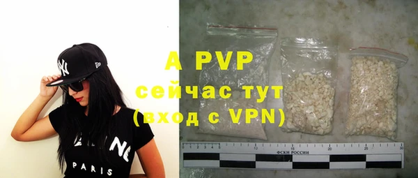 дурь Рославль
