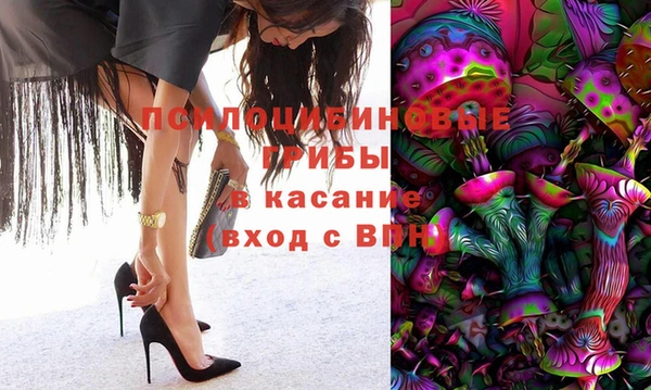 дурь Рославль